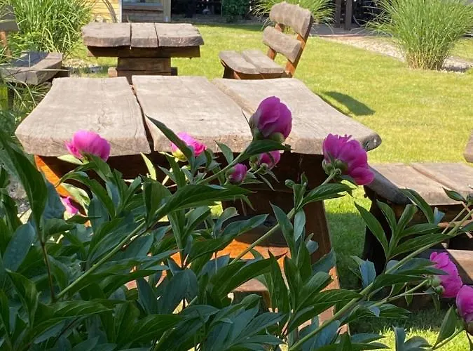 Mazurow Darmowy Parking Pansiyon *